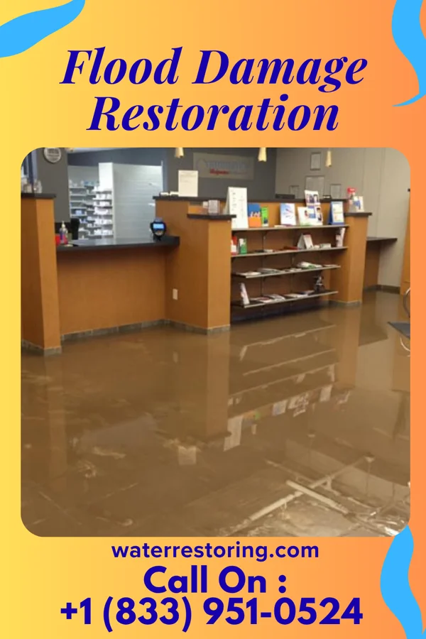 Flood Damage Restoration in Plattville, IL